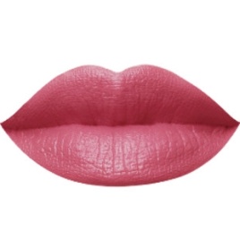 FL-2093 Г/п-кар-ш №10 брусника