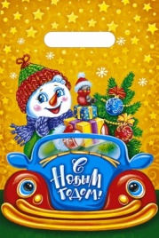 Пакет с вруб.ручк.20х30 За рулем снеговики (100)